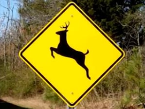 ORIGINAL - Please Move The Deer Crossing Sign.