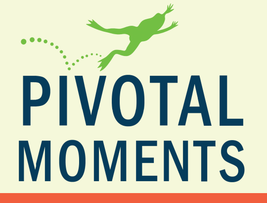 Pivotal Moments book cover